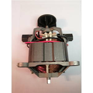 Motor Complete